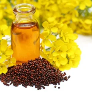 mustard-oil-28sarso-ka-teel-29-500×500 mustard-oil-28sarso-ka-teel-29-500x500